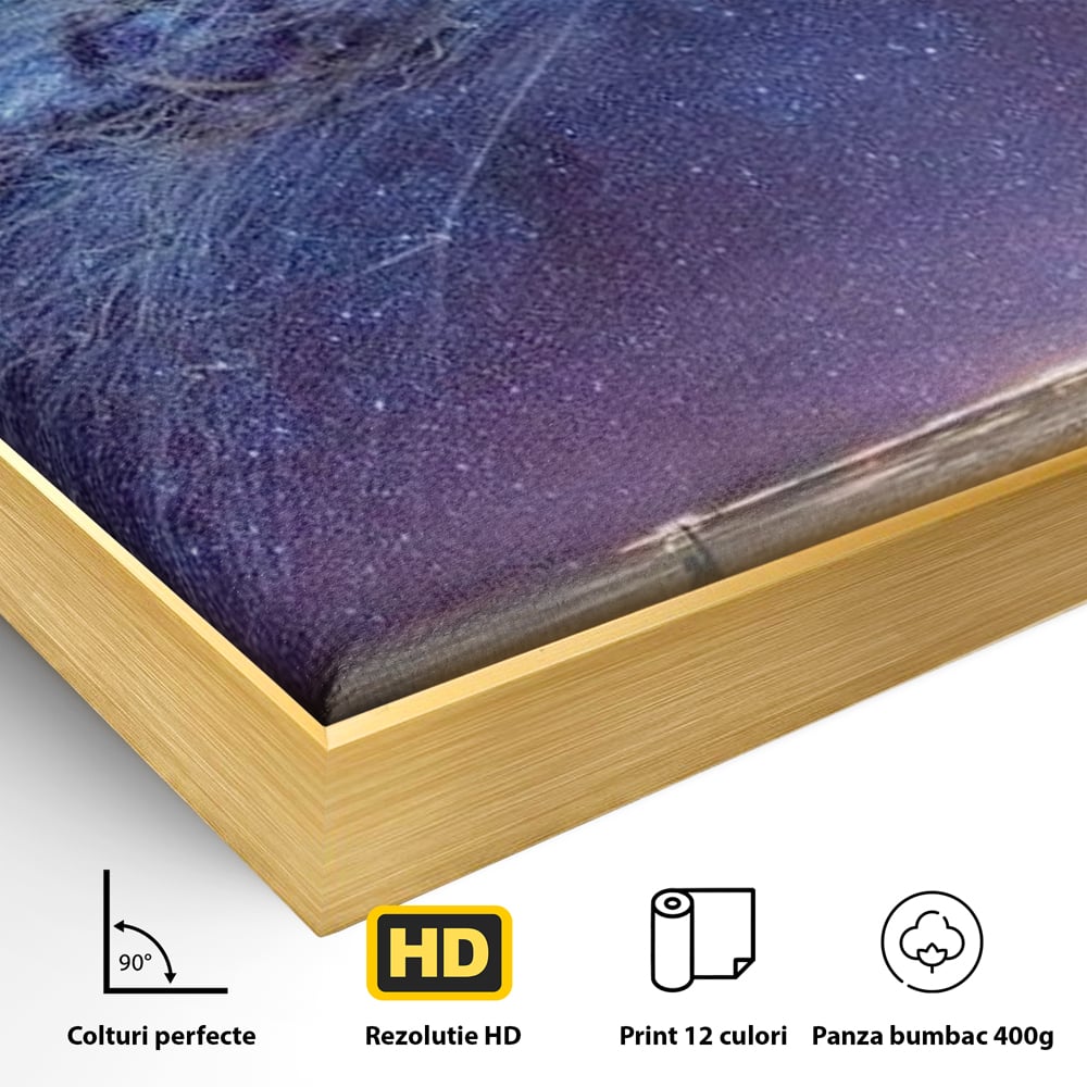 Detaliu al suprafetei: ilustratie digitala cu meduza cosmica si stele, in rama de aluminiu auriu